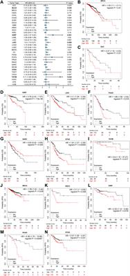 Integrated pan-cancer analysis of CSMD2 as a potential prognostic, diagnostic, and immune biomarker